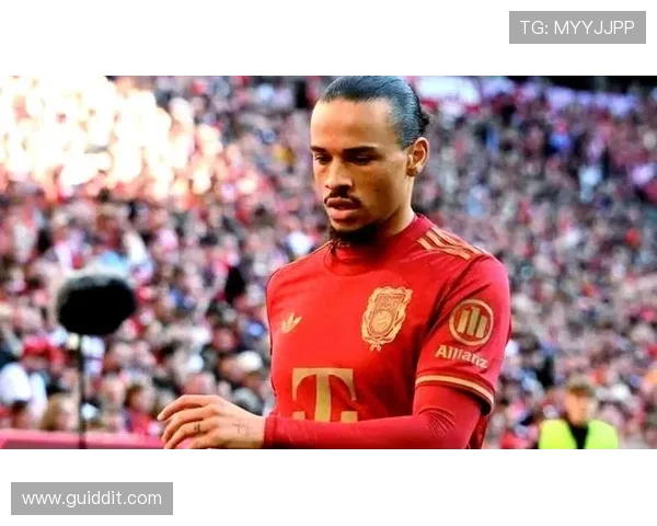 萨内技术全面分析