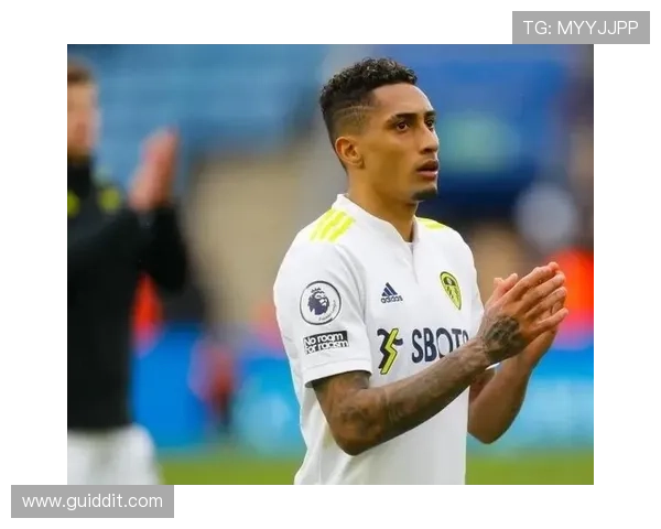 拉菲尼亚效率数据与战术角色解析：是否达到豪门水平